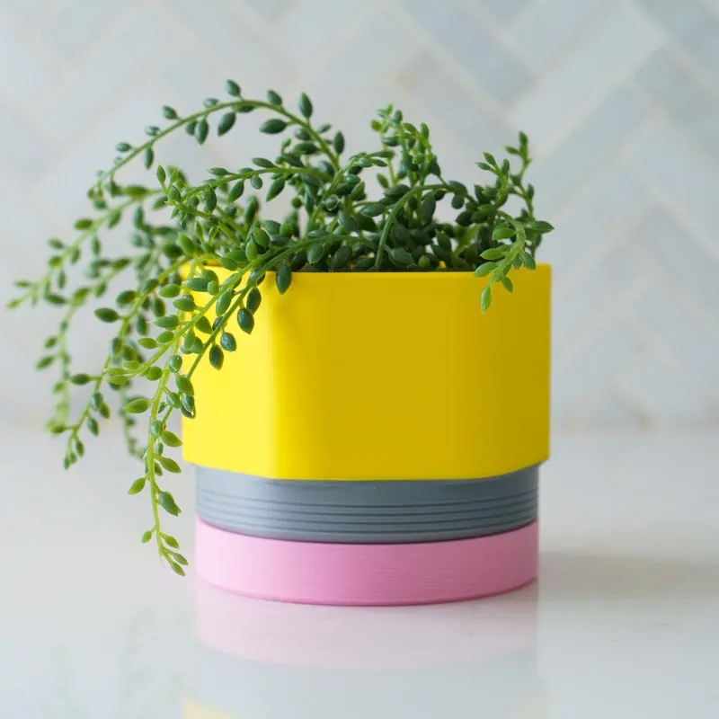 Yellow, grey and pink pencil planter with a trailing plant
